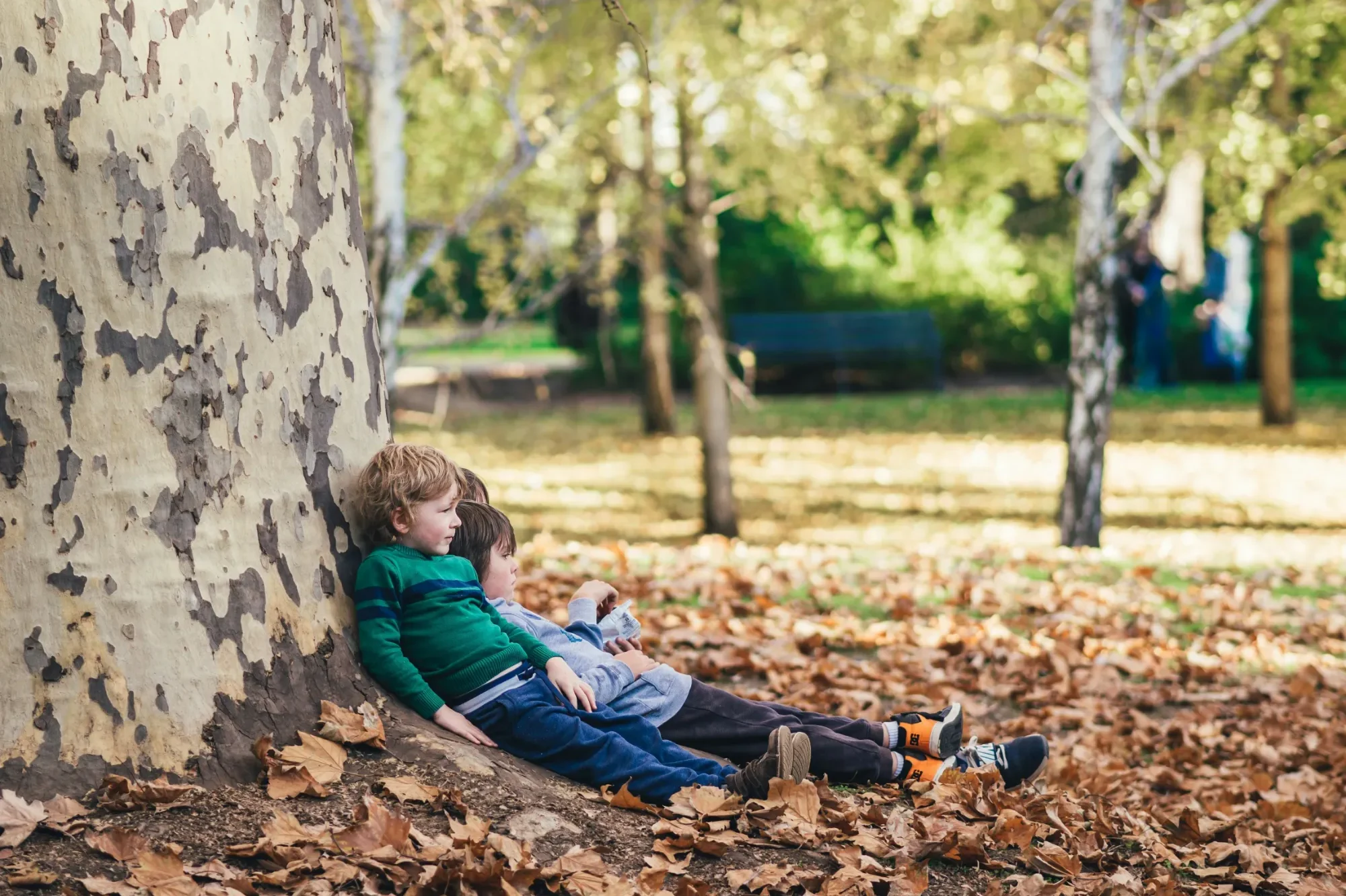 Zwei Kinder sitzen an einem Baumstamm in einem herbstlichen Park.