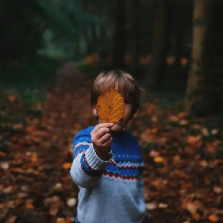 Ein Junge hält ein Herbstblatt vor seinem Gesicht in einem Waldweg.